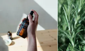 En hand håller en flaska med ekologiskt rosmarinhydrolat, perfekt för hårvård. Bredvid syns en närbild på färsk rosmarin.