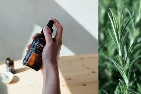 En hand håller en flaska med ekologiskt rosmarinhydrolat, perfekt för hårvård. Bredvid syns en närbild på färsk rosmarin.