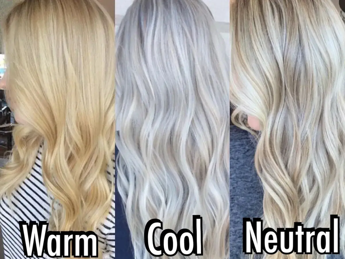 Tre blonda h&aring;rf&auml;rger: varm, cool och neutral. Silverschampo i torrt h&aring;r kan ge en cool ton.